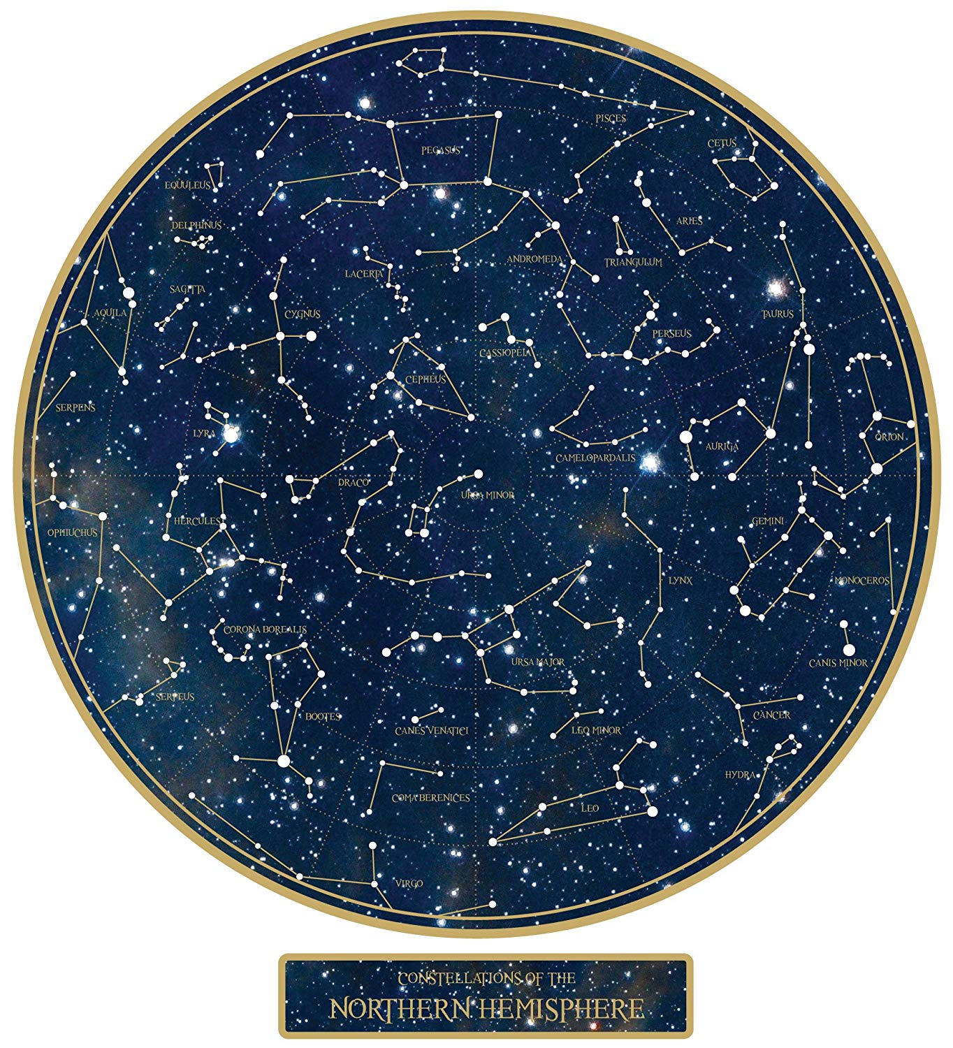 Constellation Night Sky Star Map Wall Decal Large 